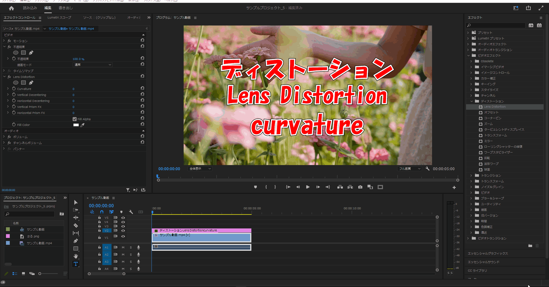 LensDistortion_curvature_挙動