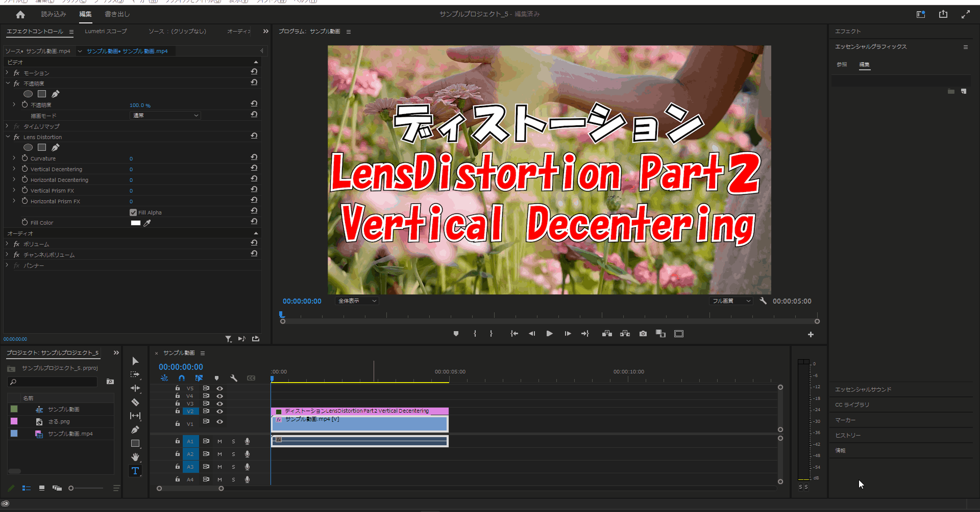 Lens Distortion_Vertical Decentering_挙動