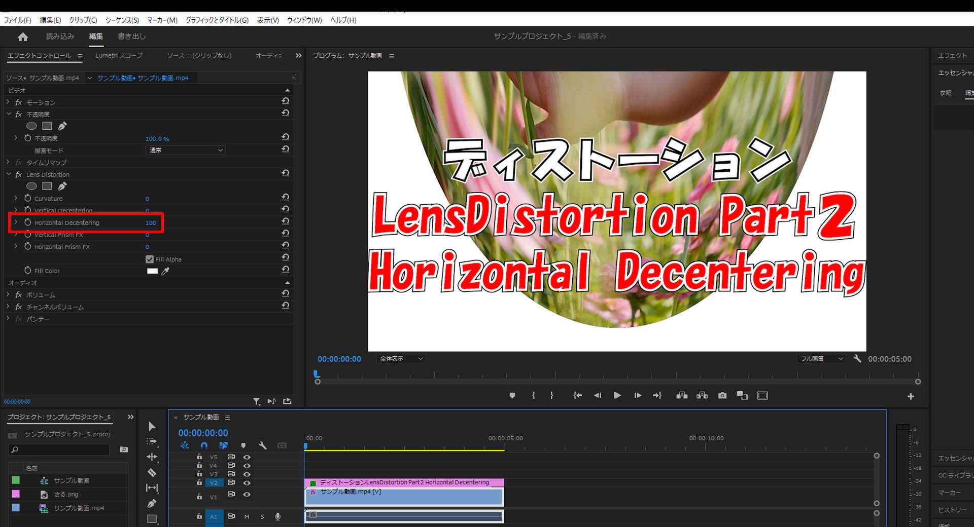 Lens Distortion_Horizontal Decentering