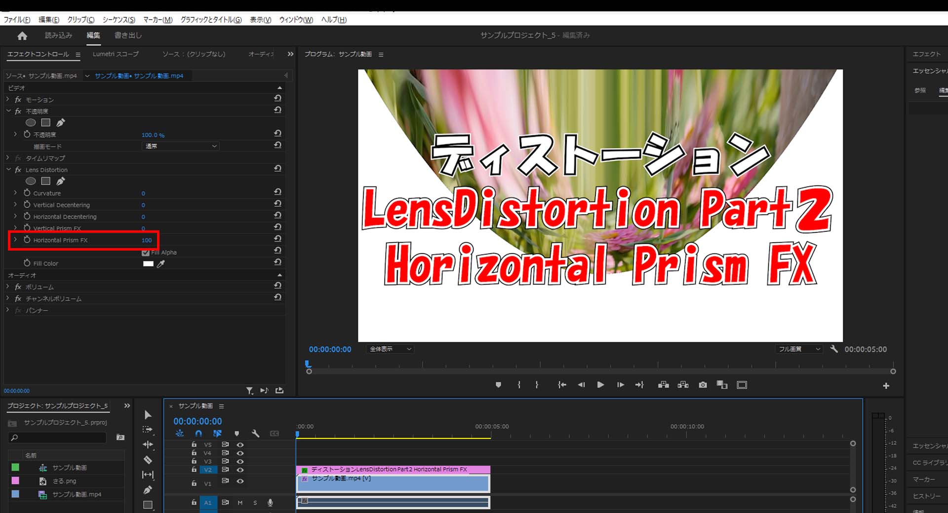 Lens Distortion_Horizontal Prism FX