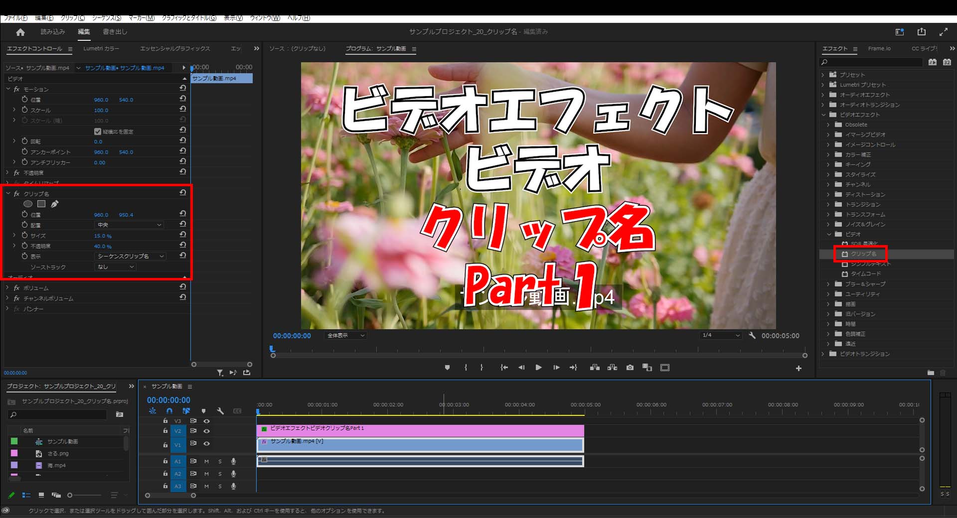 ビデオエフェクト_ビデオ_Part1