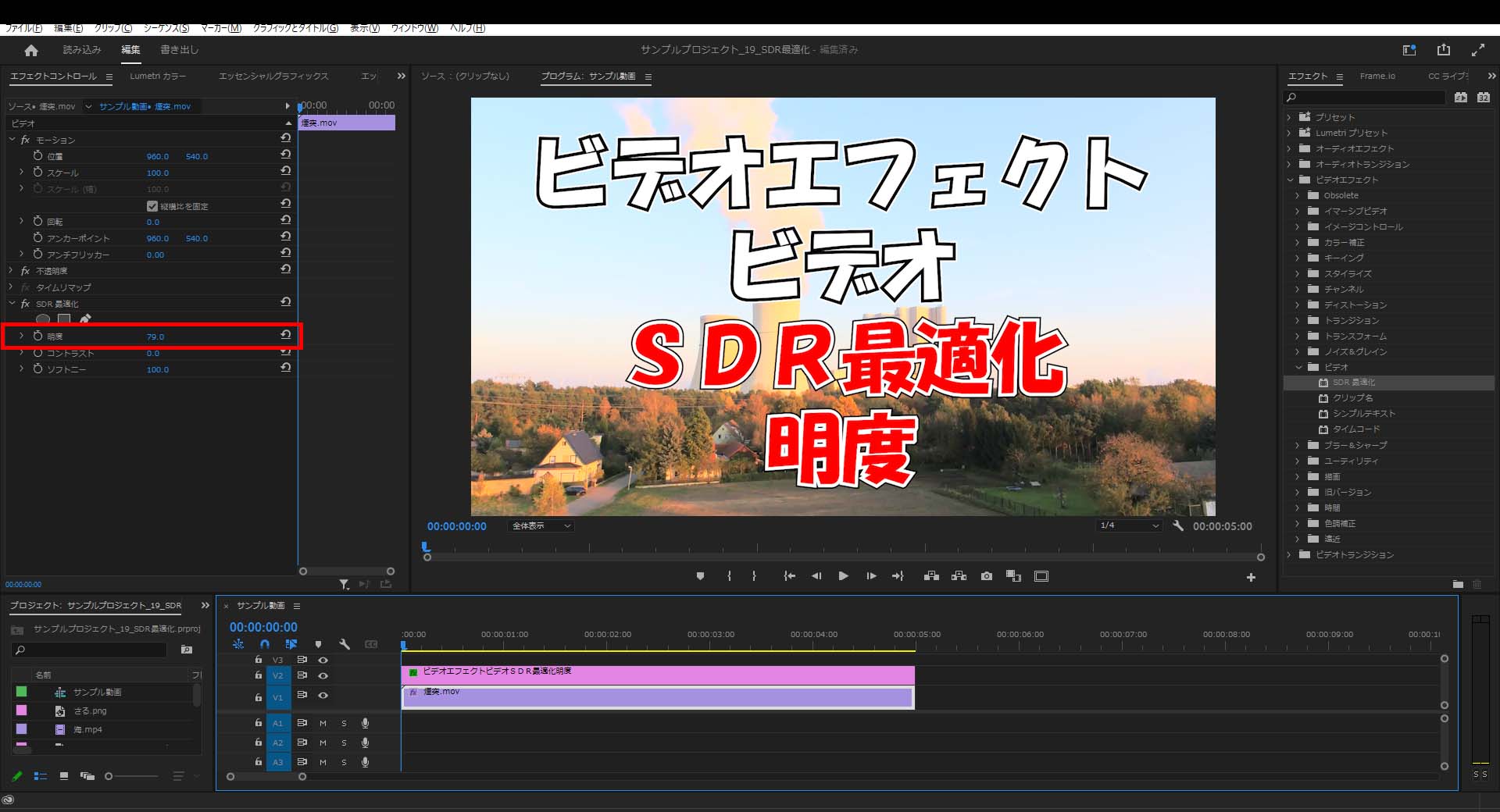 ビデオ_SDR最適化_明度