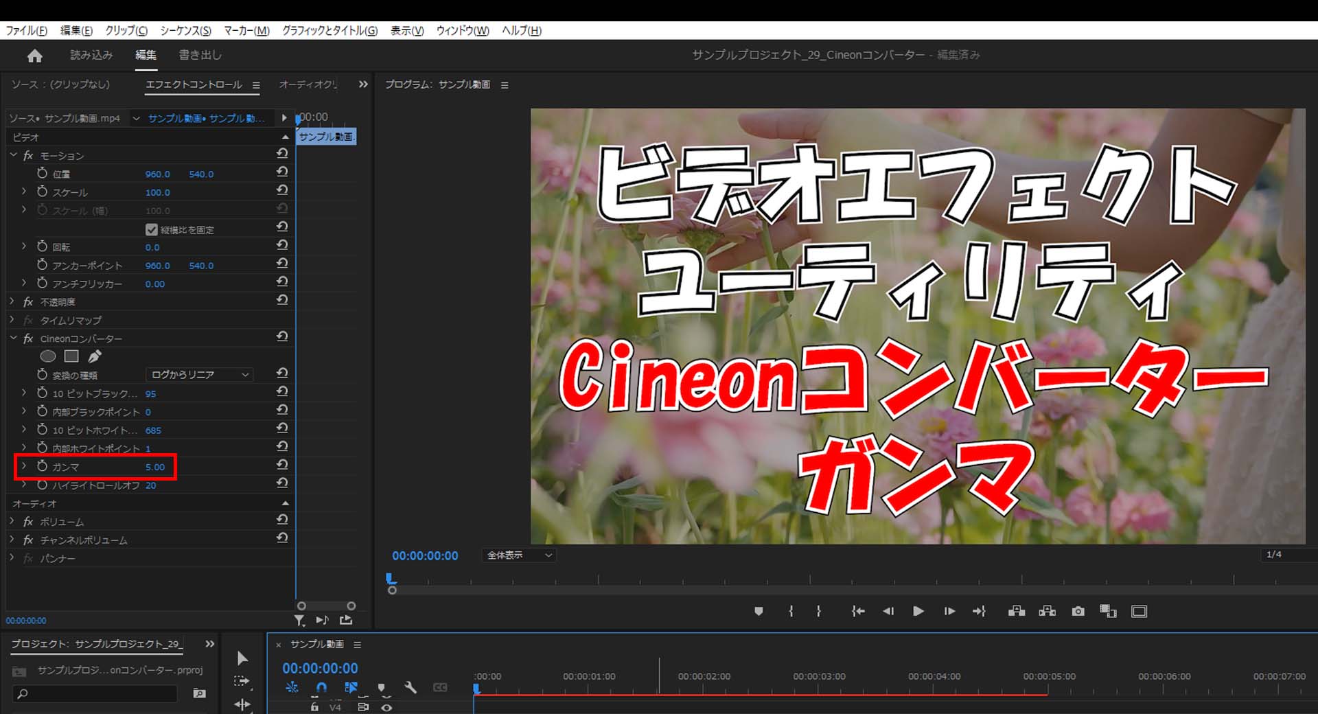 Cineonコンバーター_ガンマ